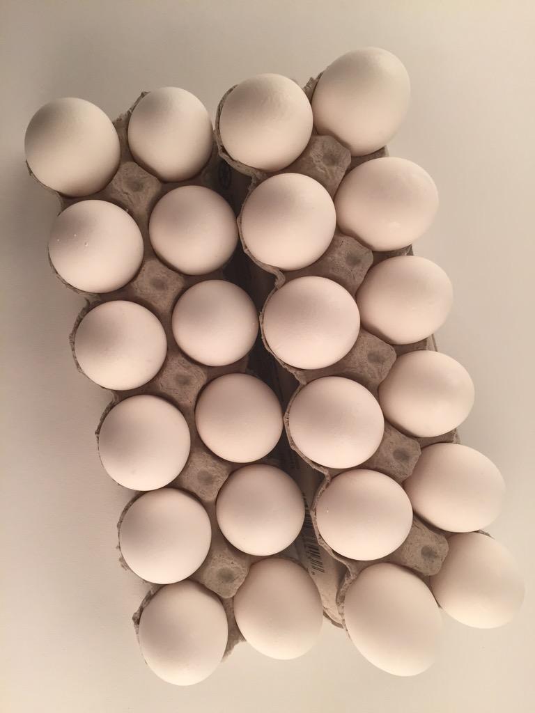 Shooting these #lovely things today #eggs