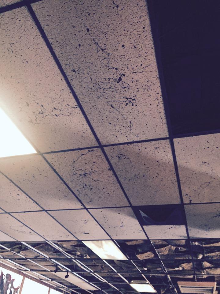 TheBackRoomTI's tweet image. fillin in the holes #touristinn #thebackroom #makingadifference