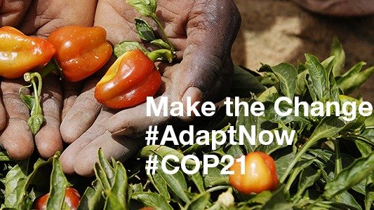 DaniNierenberg's tweet photo. Listen up! We must ALL invest in farmers in the developing world! https://t.co/3uJp4FTXrn @Change @IFADnews https://t.co/2bbMPD8nNN