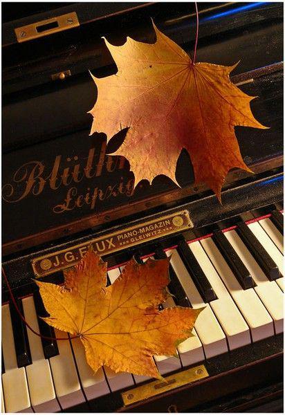 PianistTweet's tweet image. #Piano #Blüthner