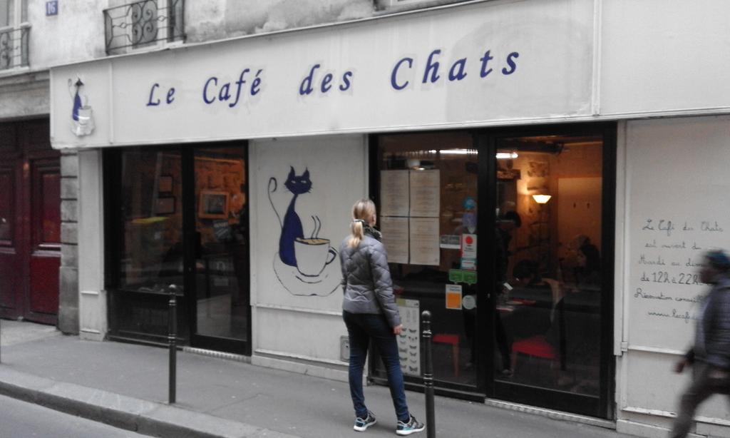 Over beleving gesproken... misschien niet origineel, wel erg leuk: café met katten #cafedeschats #marais