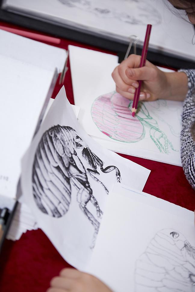 The_Big_Draw's tweet photo. Where Art &amp; Science Meet: Seeing Closer at the Royal Society | https://t.co/z2GQHEzlTT @royalsociety #thebigdraw https://t.co/gXQWEtOrqU