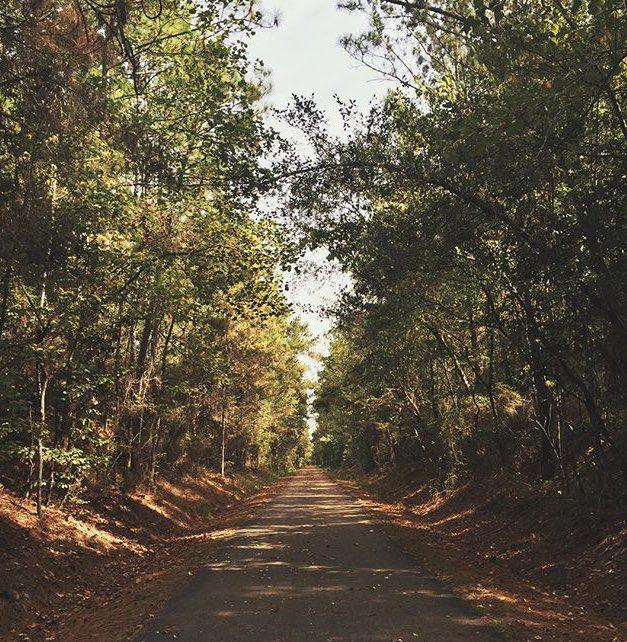 The Long Leaf Trace. #livehattiesburg #Hattiesburg 📷: @ericaaalynne