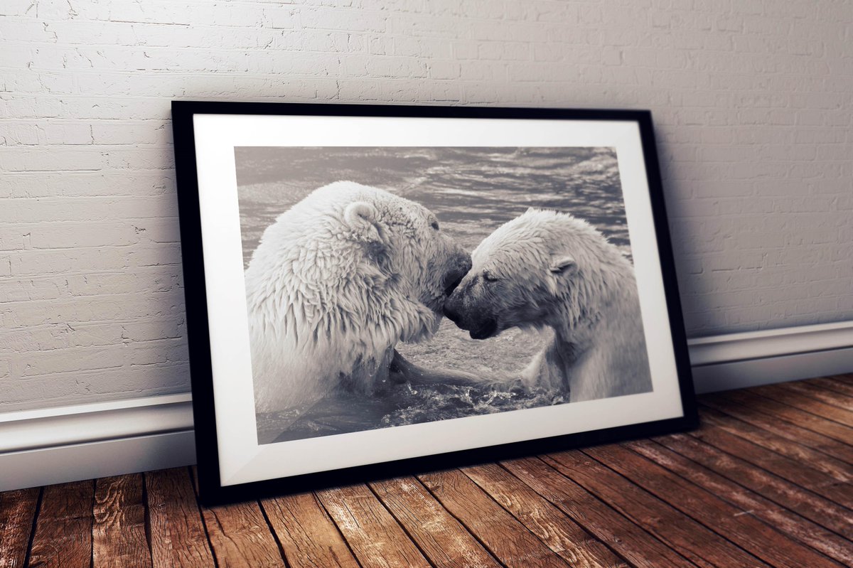bluelion tweet media