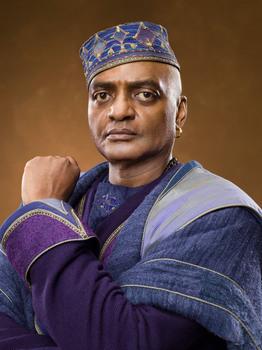 Happy 66th birthday to George Harris!
He portrayed Kingsley Shacklebolt in the films 