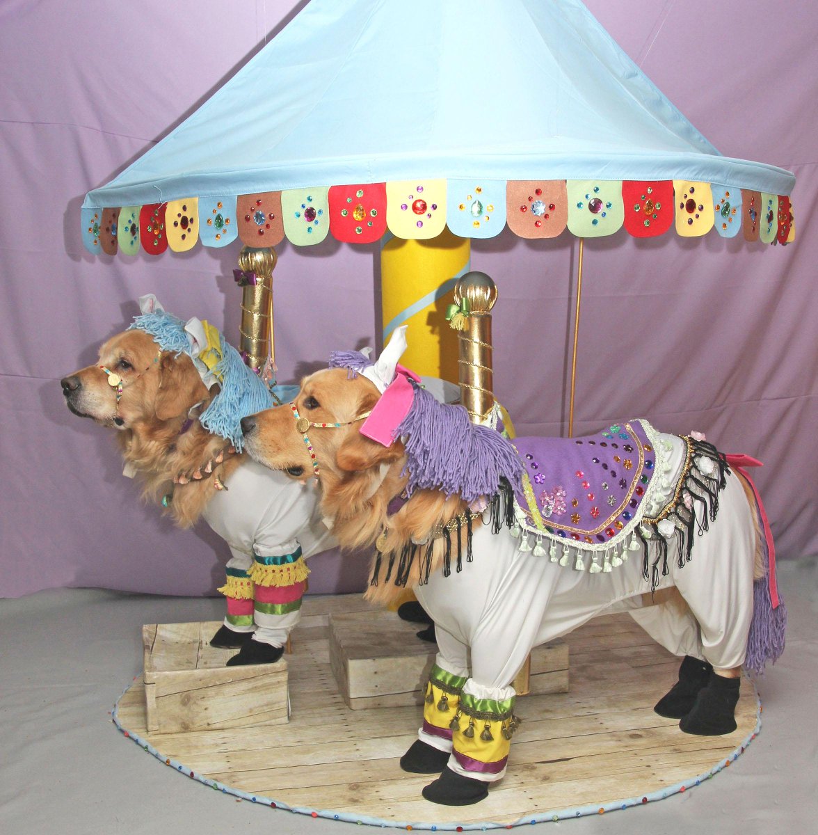 magicgolddogs's tweet image. Phoenix &amp;amp; Gryphon are blue &amp;amp; purple carousel horses, ready to take you for a spin on the carousel #BlogPawsHalloween