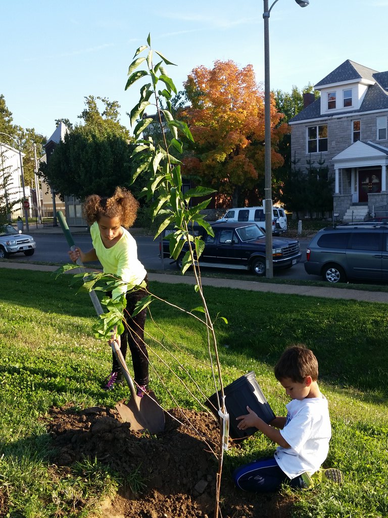 BermanLisa's tweet image. Here are my kids planting their wild plum in Chouteau Park. Thanks! #Plant4PeaceSTL