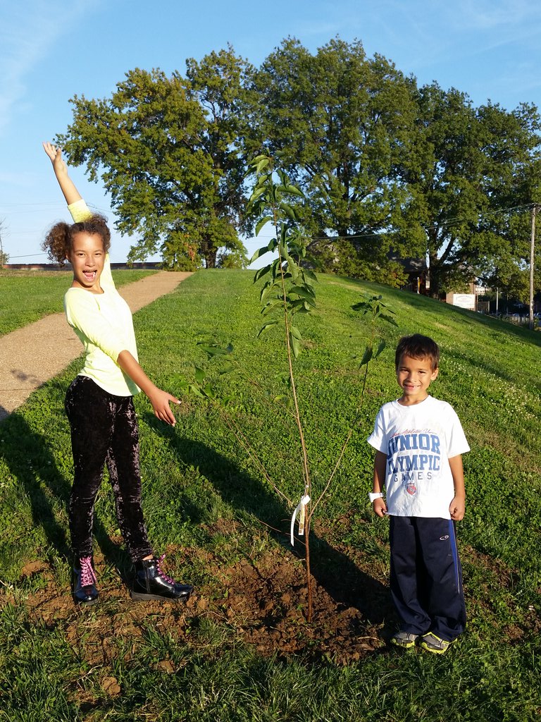BermanLisa's tweet image. Here are my kids planting their wild plum in Chouteau Park. Thanks! #Plant4PeaceSTL