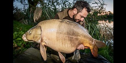 urban_bait's tweet photo. Simone Murzilli with a big mirror that fell to a bed of the deadly Nutcracker with a Nutcracker Barrel over the top! https://t.co/6K4MN1Am0k
