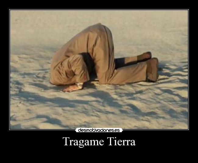 Para esta semana nuestro hashtag es #tragametierra !!!contanos tu mejor bochorno en <a href="/TigresEnRed/">Tigres en Red</a>!!