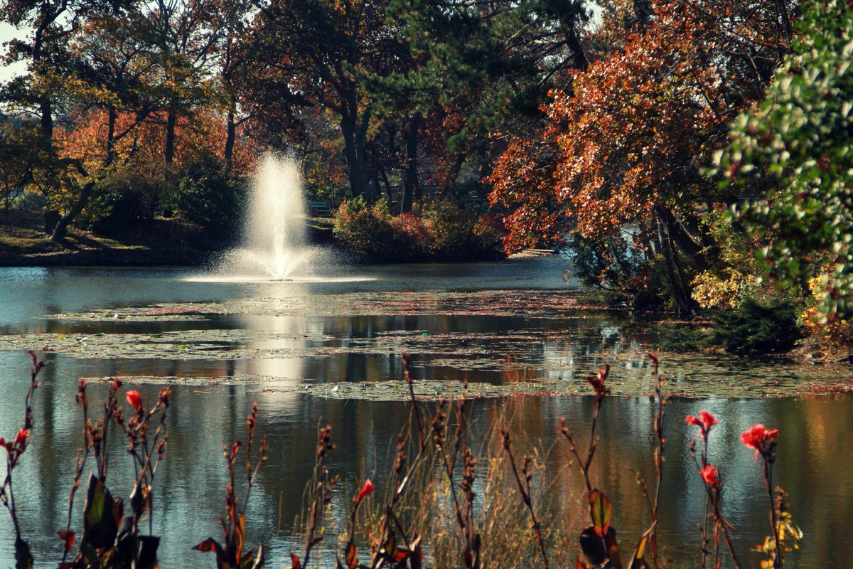 Pretty Day in #SpringLake #NJ Today #jerseyshore #fallfoliage <a href="/Evansweather/">Bill Evans</a> <a href="/SamChampion/">Sam Champion</a> <a href="/JSHurricaneNews/">JSHN</a> <a href="/njdotcom/">njdotcom</a>
