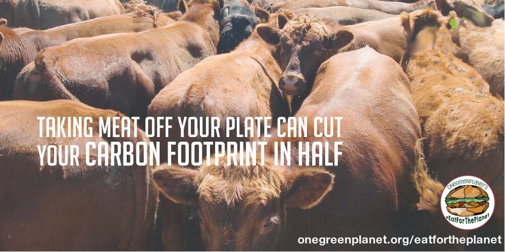OneGreenPlanet's tweet photo. 3 Simple Reasons Plant-Based Foods Are the Future @nilzach https://t.co/zftgjHL5Eg #EatForThePlanet https://t.co/dtgiYZR1Ec
