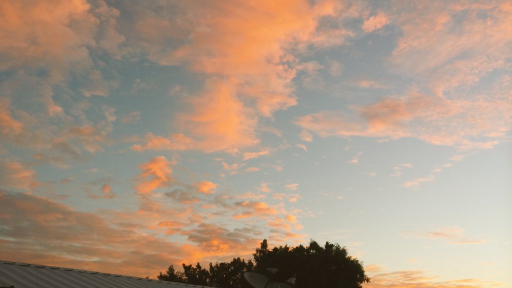 Thor (@stormlordthor) on Twitter photo 