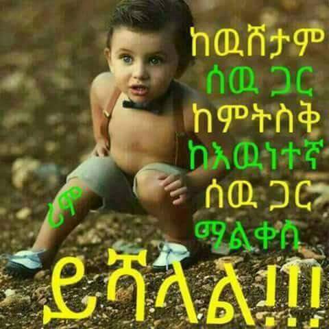 ሰአዳ ሰይድ (@sasadaseid) on Twitter photo 