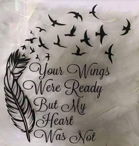 jey_walking06's tweet photo. #feathers #wings #MyHeart https://t.co/ZVqXAGRAaZ
