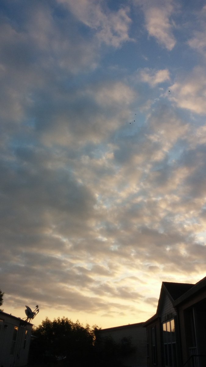 Thor (@stormlordthor) on Twitter photo 