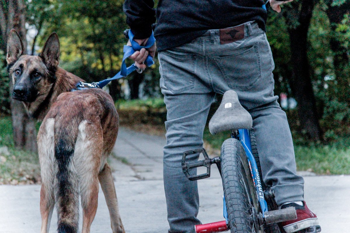 brocodewear's tweet image. Doc &amp;amp; his dog. #brocodewear #denim #bffs
