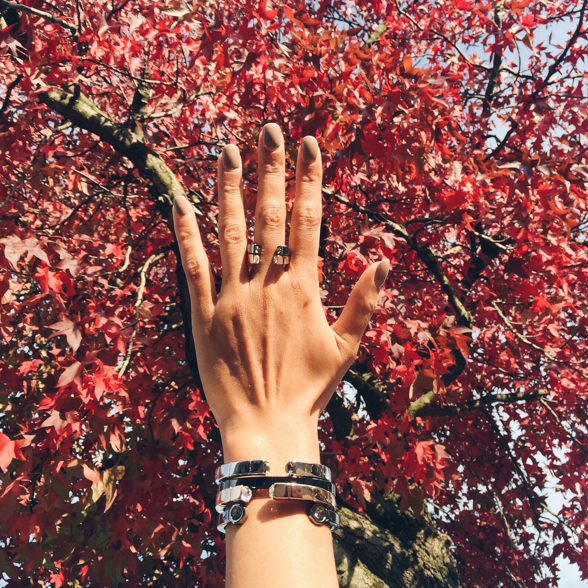 TOVEssentials's tweet image. We love this season and all its colours. What is your favourite season ? #tovessentials #lovetov #bagles #autumn