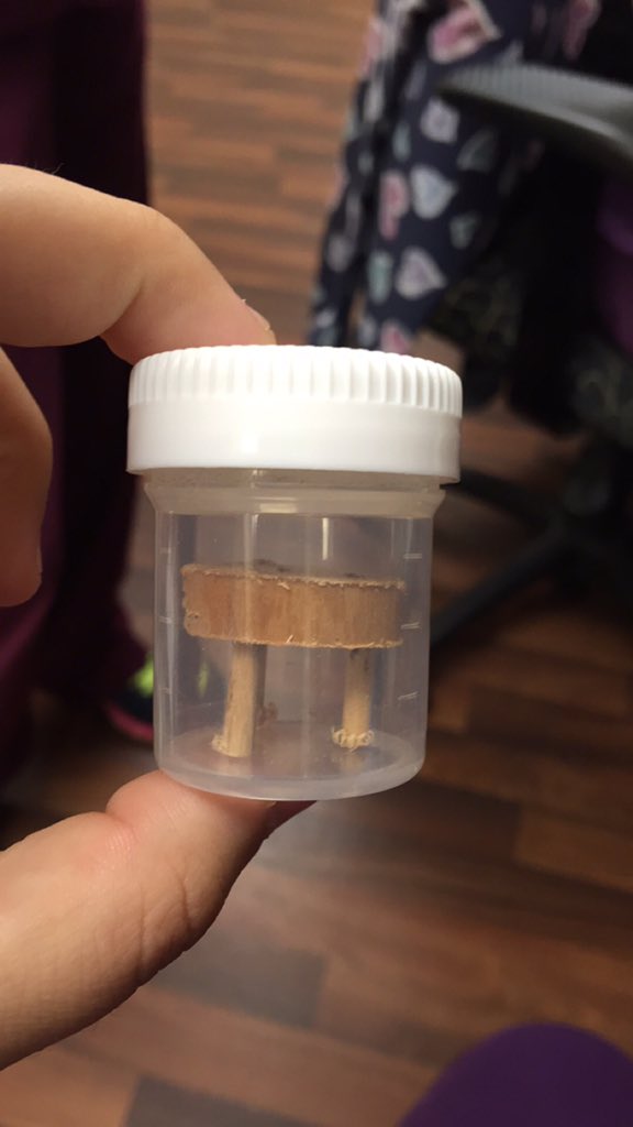 tayhefff's tweet image. A patient brought in a #stoolsample .......... Lol #nursejokes