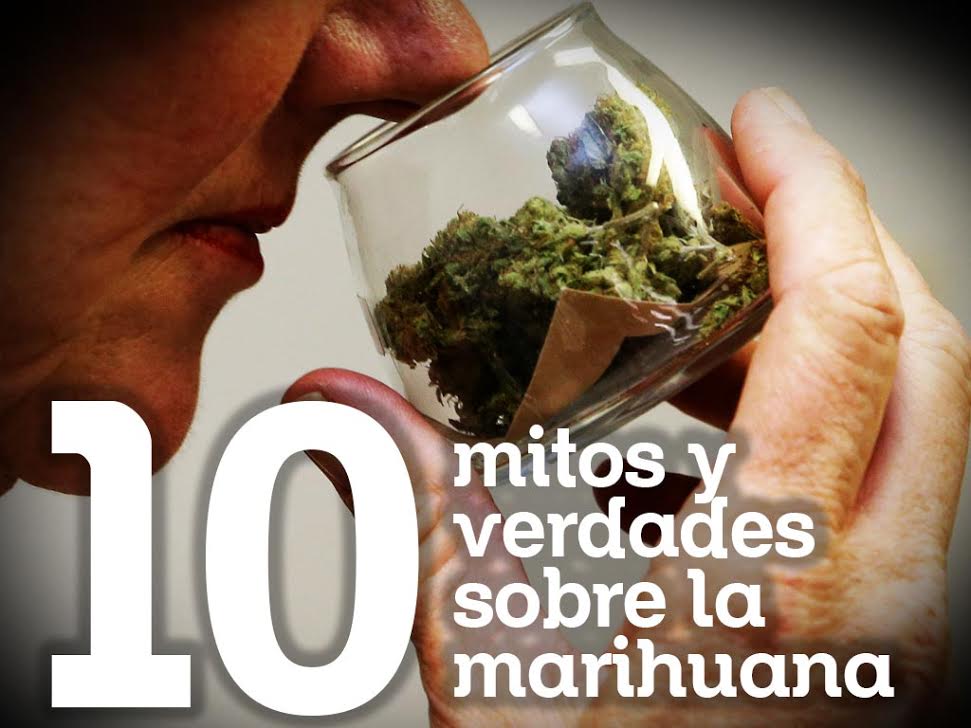 nmas's tweet photo. 10 mitos y verdades sobre la marihuana -----> https://t.co/pJ5kzm2o5h https://t.co/Yu9YuMapGm