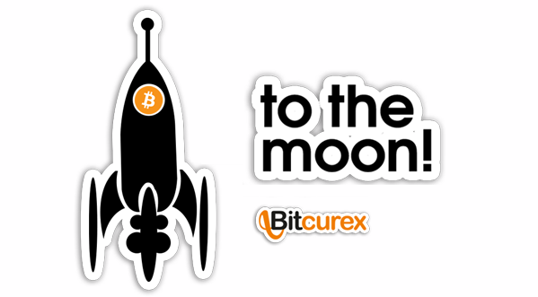 Bitcurex tweet media