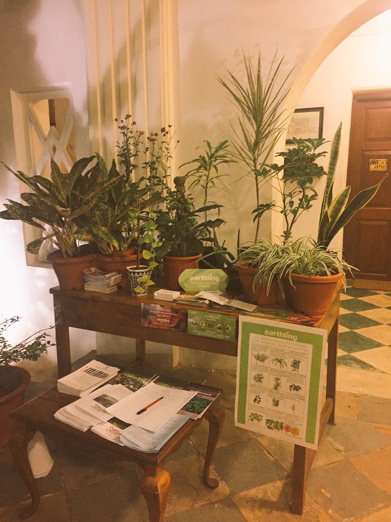 greendezvous's tweet photo. We have a great display of #NASA approved #houseplants courtesy of #EARTHLING store in #Chennai @luzhous #GDV3 https://t.co/nyNYLwnUMg