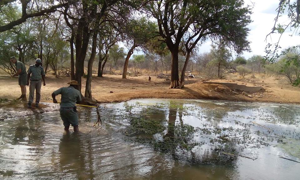 MabalingweR's tweet photo. Guiding is not all about driving around and looking for animals. https://t.co/sGcQ2XisDd