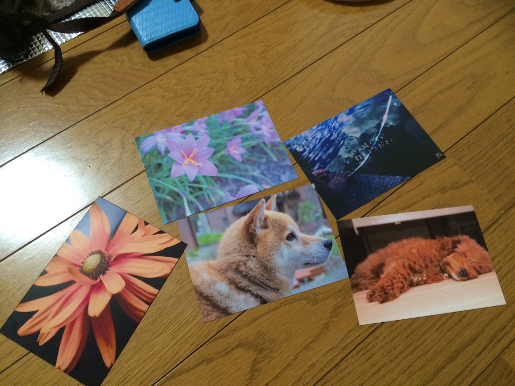 yru_yl's tweet photo. 家のプリンターでいつ買ったかさえ分からんやっすい光沢紙でいろいろ出してみた。
こう離れてみるとそうでもないけど実物見ると結構ちゃっちいwwww https://t.co/CxIWM5thPZ