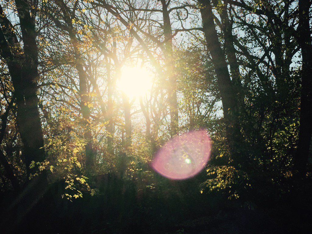 als_ik_kan's tweet photo. A beautiful start to this November day! https://t.co/LBF6h4xhQE