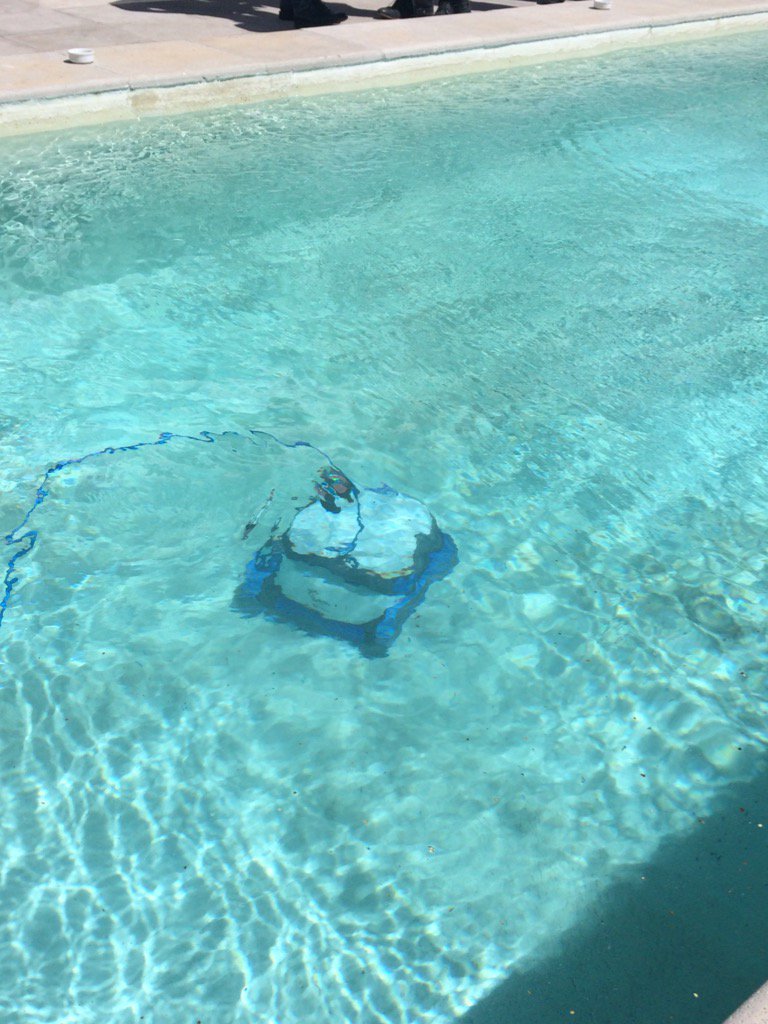 lu_torresss's tweet photo. Conociendo la #experienciadolphin de @Dolphin_AR . Si mantienen las piletas de @eltreceoficial también la de tu casa https://t.co/rSVr9NZu6m