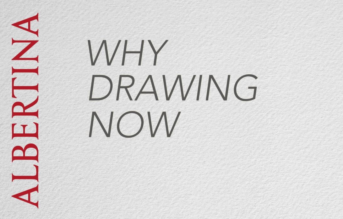AlbertinaMuseum's tweet photo. Missed the #15Minutes? Wir haben ein #Video-BEST-OF für euch! https://t.co/bcLsVQOmze #DrawingNow_2015 https://t.co/gQ1ylrJKrZ