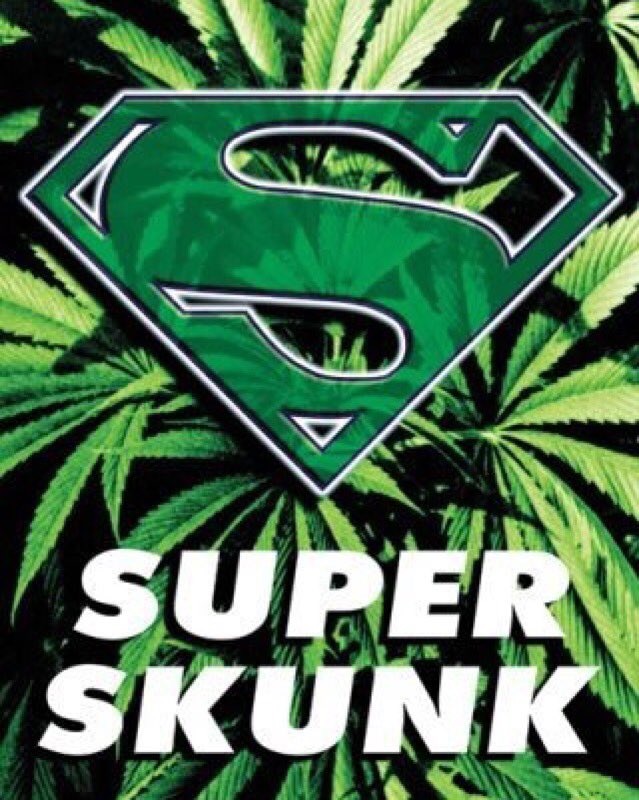 Bunitupnow tweet picture