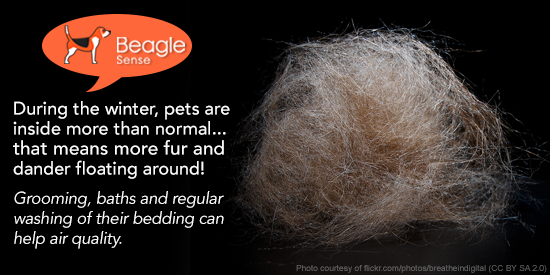 beaglesense's tweet photo. Some handy tips to help you breathe easy! 
Support our healthy home sensor Kickstarter: https://t.co/WAcptLgL7I https://t.co/ceQOW94BWq
