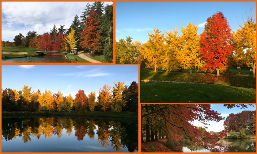 Encore de belles couleurs <a href="/golfparchersant/">Golf Parc R. Hersant</a> !