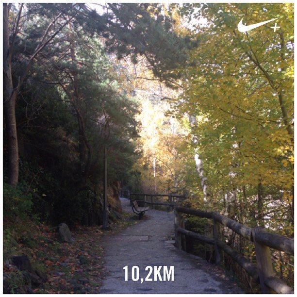 yopp_and's tweet photo. #nikerunning #nikeplus #running #DontCrackUnderPressure #Andorra #andorraworld #newbalance #mountain #vida #igersan… https://t.co/gs2nv08G0k