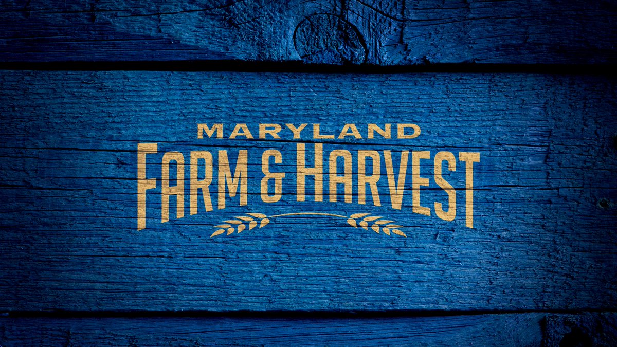 NEWS FLASH! New episodes of Maryland Farm &amp; Harvest begin Nov. 10 at 7pm on <a href="/marylandpubtv/">Maryland Public Television</a>. ow.ly/UeE1s