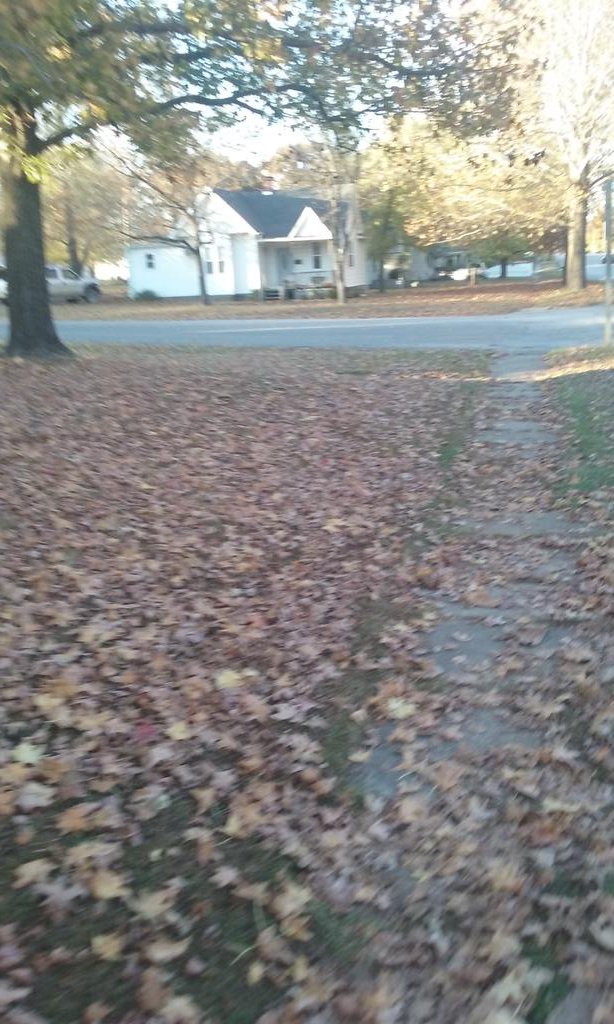 orientalskies's tweet image. 