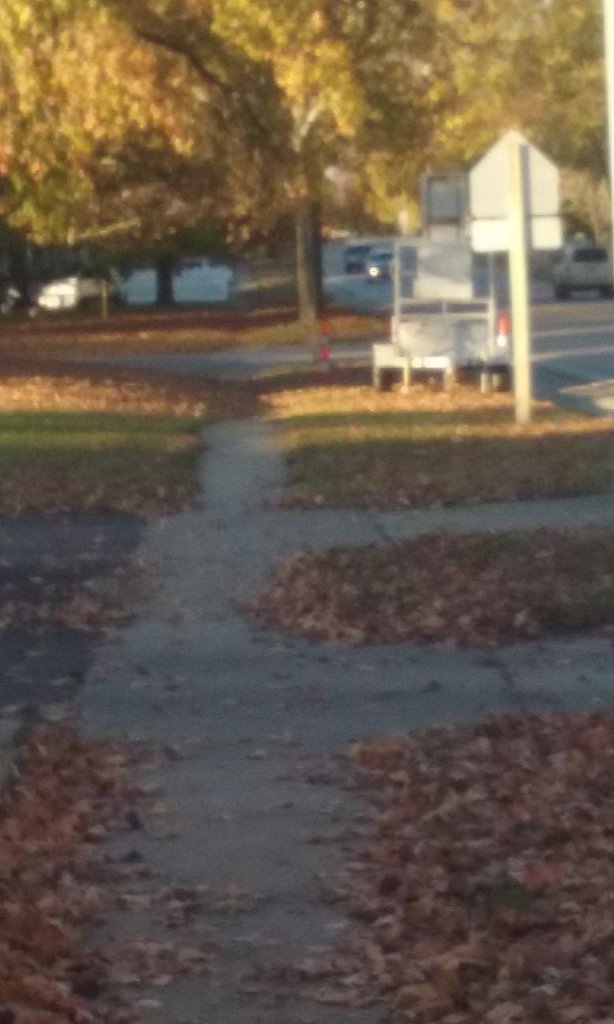 orientalskies's tweet image. 