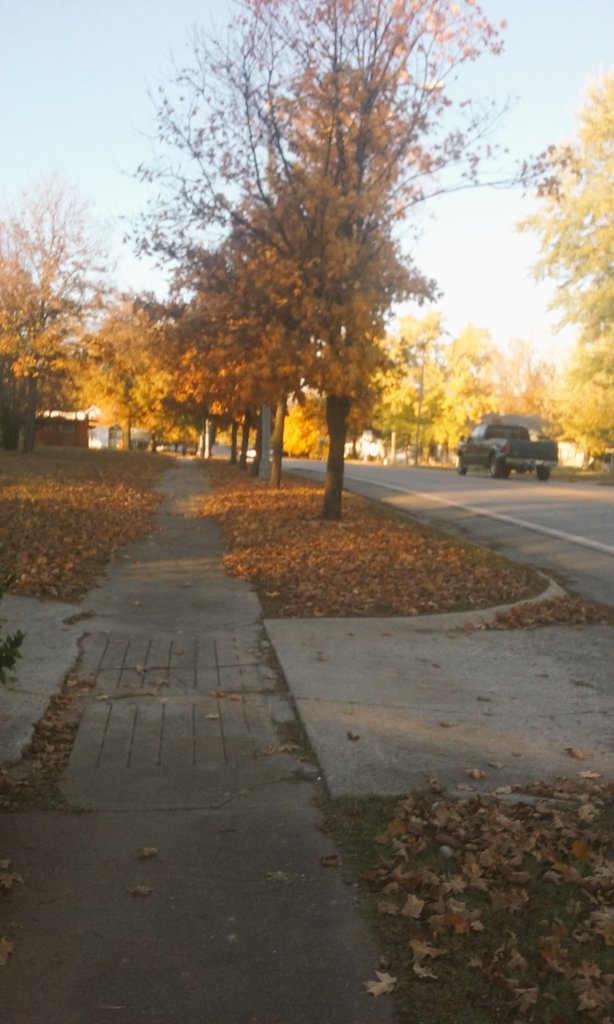 orientalskies's tweet image. 