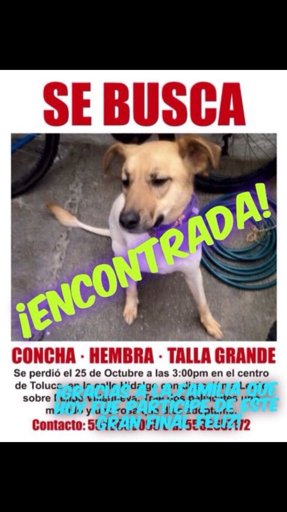 huellas_petshop's tweet photo. @Mitakid @GranjitaTyH @mellamohebe @HECHOenTOLUCA @l_orii @Andres_HerreraB @Metepec_In @IndiaSheWolf @rebujin https://t.co/WwwdF1jYrH