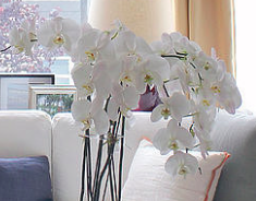 What do people with clean houses do every day? (apart from use us of course!) ow.ly/UeesE
