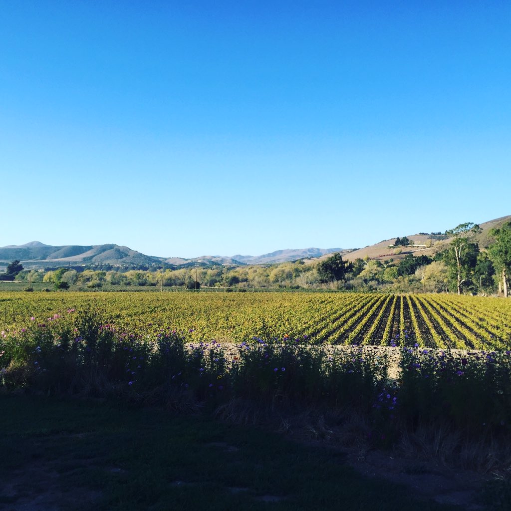 sbtaste_'s tweet photo. The Sta. Rita Hills @lafondwinery #SBCwine #WineTour #WineTasting #3eSB  #wine https://t.co/dsxqrM7IYd