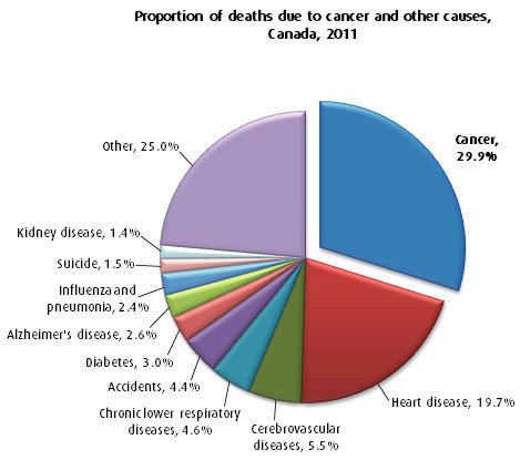 Fawn_Radmore's tweet photo. In Canada three times more people will get cancer than have a heart attack. Fact!
https://t.co/wAQoUM3eGi https://t.co/hei9oWMnfd