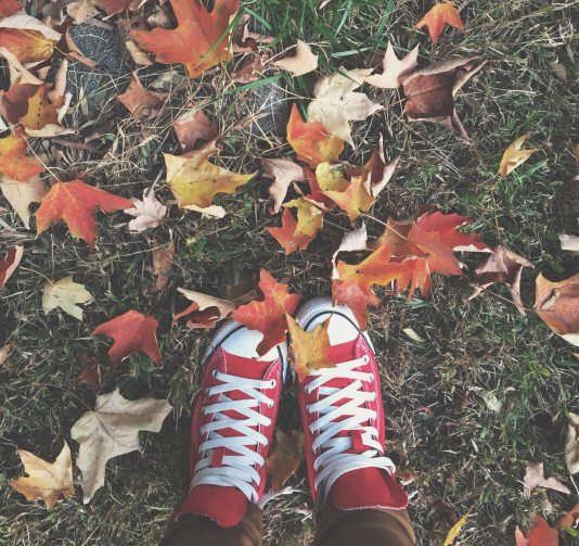 Converse's tweet photo. Take it or leaf it. (photo by Sydney) #chucktaylor https://t.co/HapzbW13H6