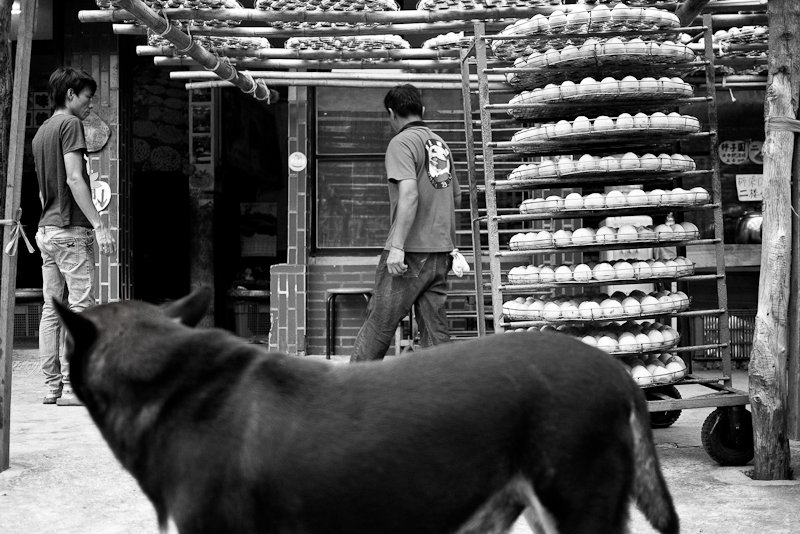 twhipsiong's tweet photo. #blackandwhitephotography
#streetphotography
#TaiwanStreetPhotography
#Sinpu
#Taiwan https://t.co/CG03axyr6B