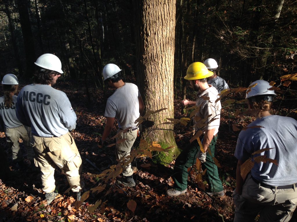 AmeriCorpsNCCC's tweet photo. What's your morning workout? #River5 just dislodged a giant rock at Red River Gorge in Kentucky! https://t.co/uzmXqCw6m1