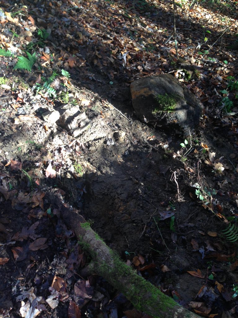 AmeriCorpsNCCC's tweet photo. What's your morning workout? #River5 just dislodged a giant rock at Red River Gorge in Kentucky! https://t.co/uzmXqCw6m1