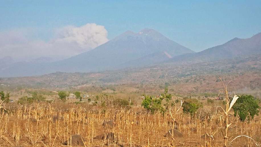 detikcom's tweet photo. Dampak Abu Vulkanik, Penerbangan Menuju Lombok Ditutup Hingga Besok Pagi https://t.co/34hH79OTyF https://t.co/1tLAax6A0g