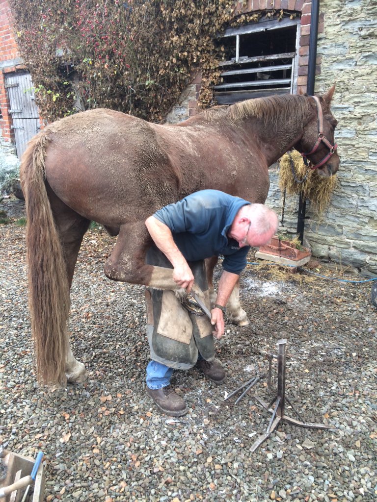 agaqueen's tweet image. I never tire of this scene. #timeimmemorial #horses #farrier #shoeing