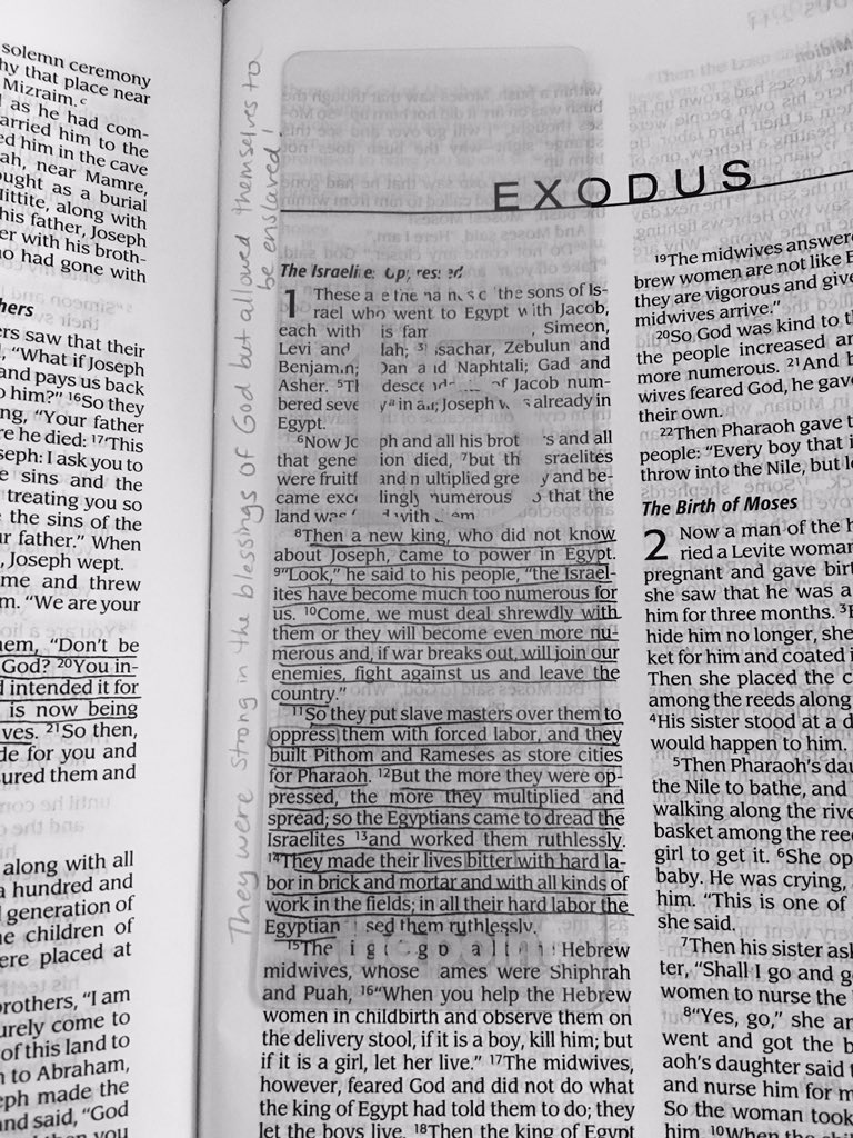 heatherhasJesus's tweet image. We are free in the blessings of God don't be fooled and made a slave where you have been blessed #faithcomes #take15